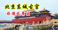 东北淫妇尤物视频中国北京-东城古宫旅游风景区